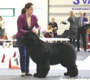 Превью фото № 118525