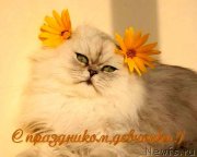 Превью фото № 118532