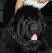 Превью фото № 118552