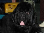 Превью фото № 118554