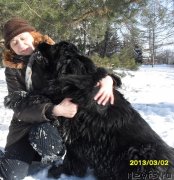 Превью фото № 118681