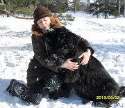 Превью фото № 118683