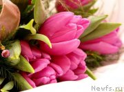 Превью фото № 118825