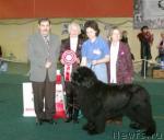 Превью фото № 11887