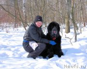 Превью фото № 118927