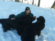 Превью фото № 118969