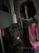 Превью фото № 118978