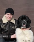 Превью фото № 119010