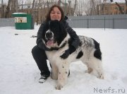 Превью фото № 119046