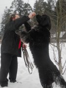 Превью фото № 119084