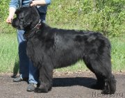 Превью фото № 119144