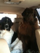 Превью фото № 119180