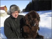 Превью фото № 119211