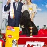 Превью фото № 119216