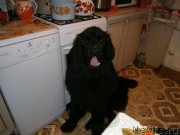 Превью фото № 119220