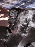 Превью фото № 119319