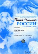 Превью фото № 119432