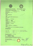 Превью фото № 119439