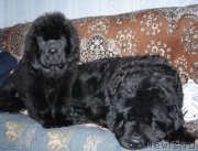 Превью фото № 119440