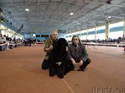 Превью фото № 119501