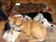 Превью фото № 119524