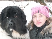 Превью фото № 119571