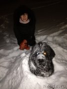 Превью фото № 119683