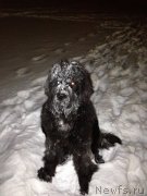 Превью фото № 119684