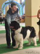 Превью фото № 119720