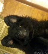 Превью фото № 119839