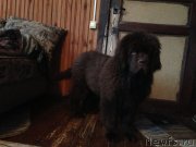 Превью фото № 119870