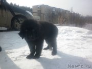 Превью фото № 119922