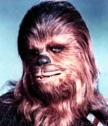 Превью фото № 119934