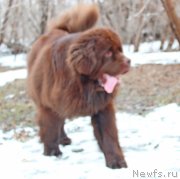 Превью фото № 119937