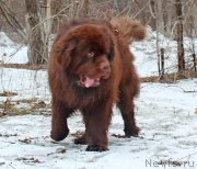 Превью фото № 119939