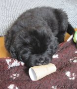 Превью фото № 119985