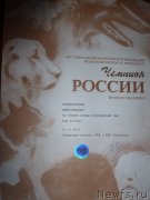 Превью фото № 120081