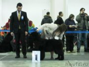 Превью фото № 120082