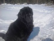 Превью фото № 120116