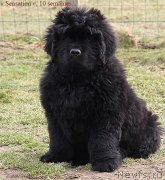 Превью фото № 120117