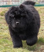 Превью фото № 120118