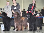 Превью фото № 120119