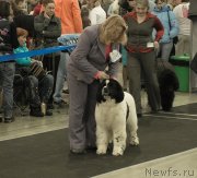 Превью фото № 120143