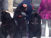 Превью фото № 120254