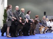 Превью фото № 120272