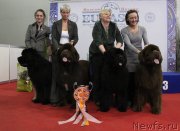 Превью фото № 120273