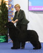 Превью фото № 120274