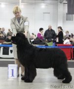 Превью фото № 120275