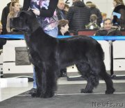 Превью фото № 120288