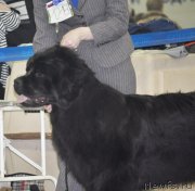 Превью фото № 120294